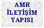 Metin Kutusu: AMR LETM YAPISI

